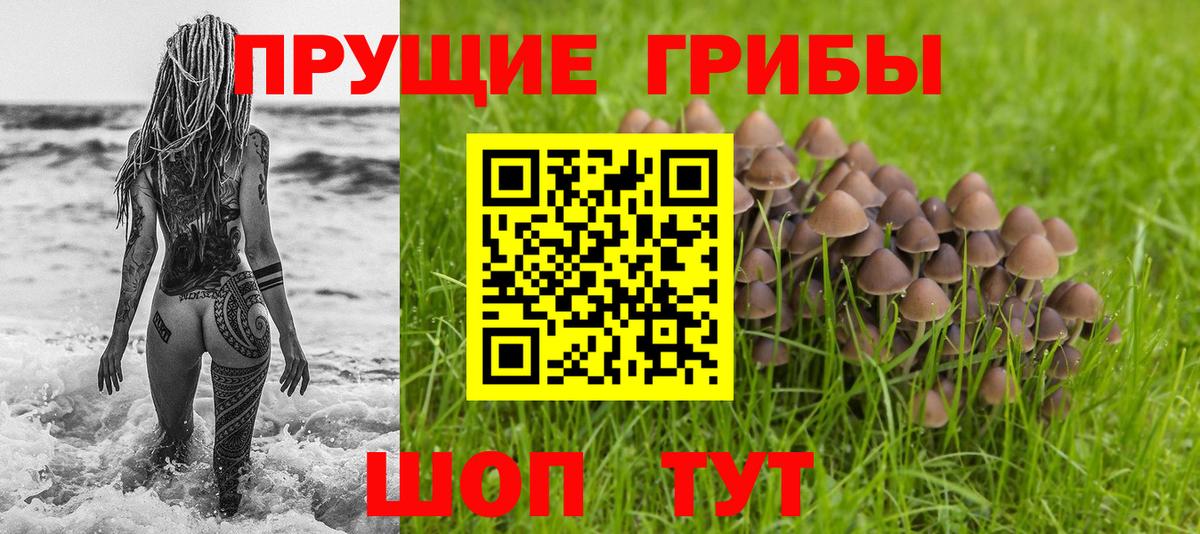 Нальчик  Галлюциногенные грибы MAGIC MUSHROOMS  Вход с VPN 