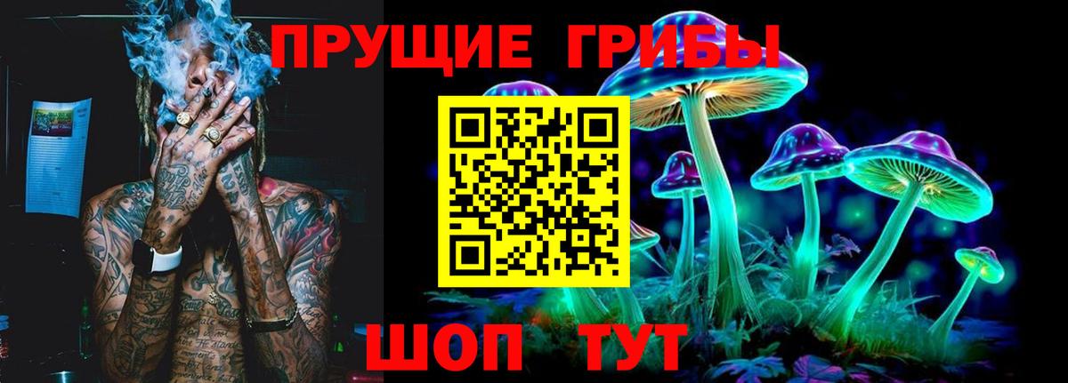 Галлюциногенные грибы Psilocybine cubensis Нальчик